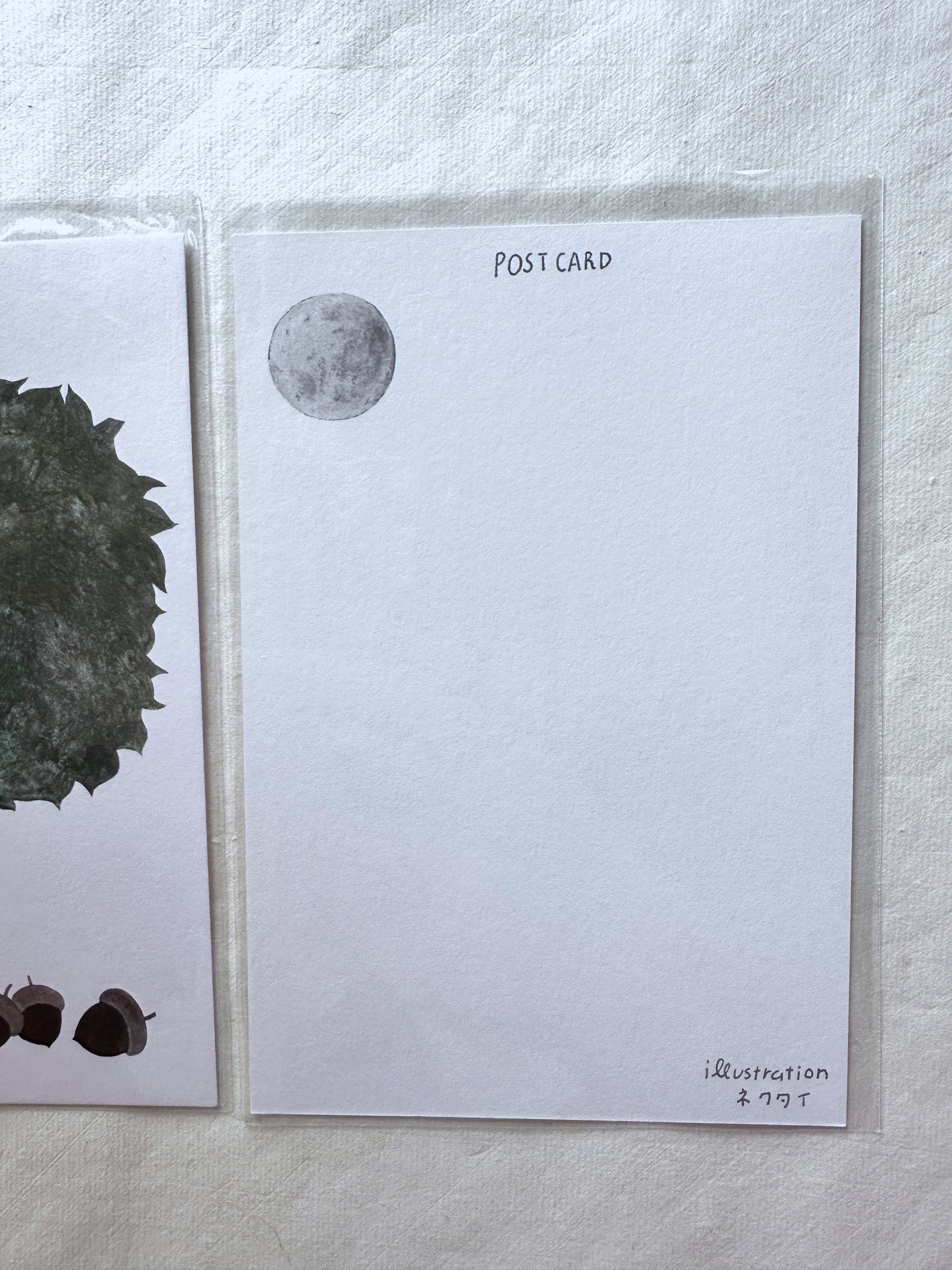 Cozyca Products - Japanese illustrated art postcards by Akira Kusaka, Shinohara Eko, Kurahashirei, Necktie