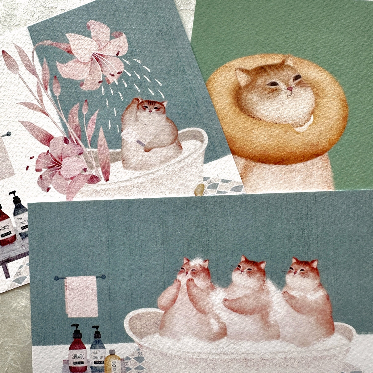 Amily Shen - cat illustration postcards