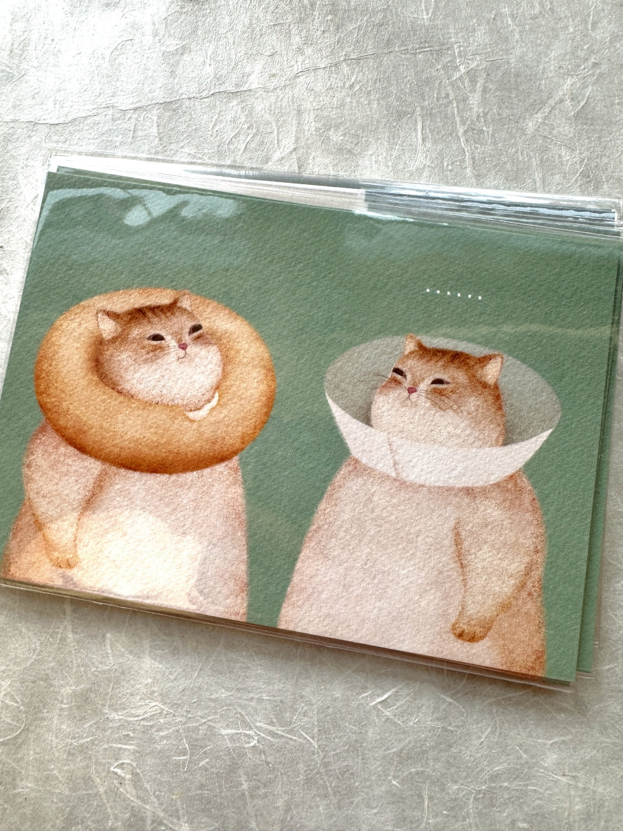 Amily Shen - cat illustration postcards