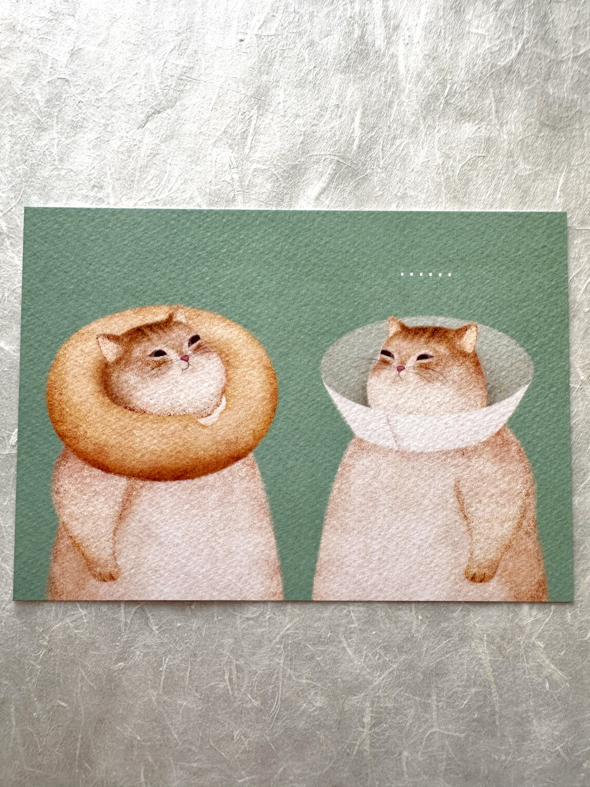 Amily Shen - cat illustration postcards