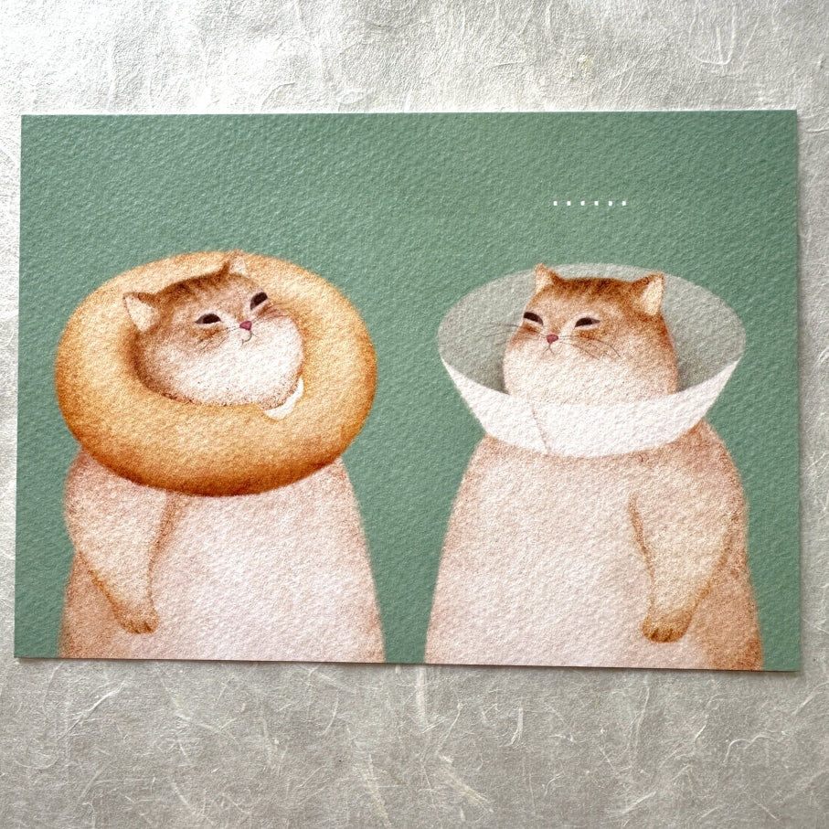 Amily Shen - cat illustration postcards