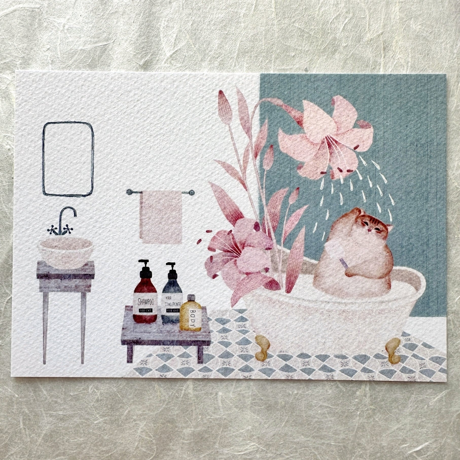 Amily Shen - cat illustration postcards