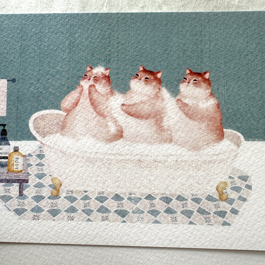 Amily Shen - cat illustration postcards