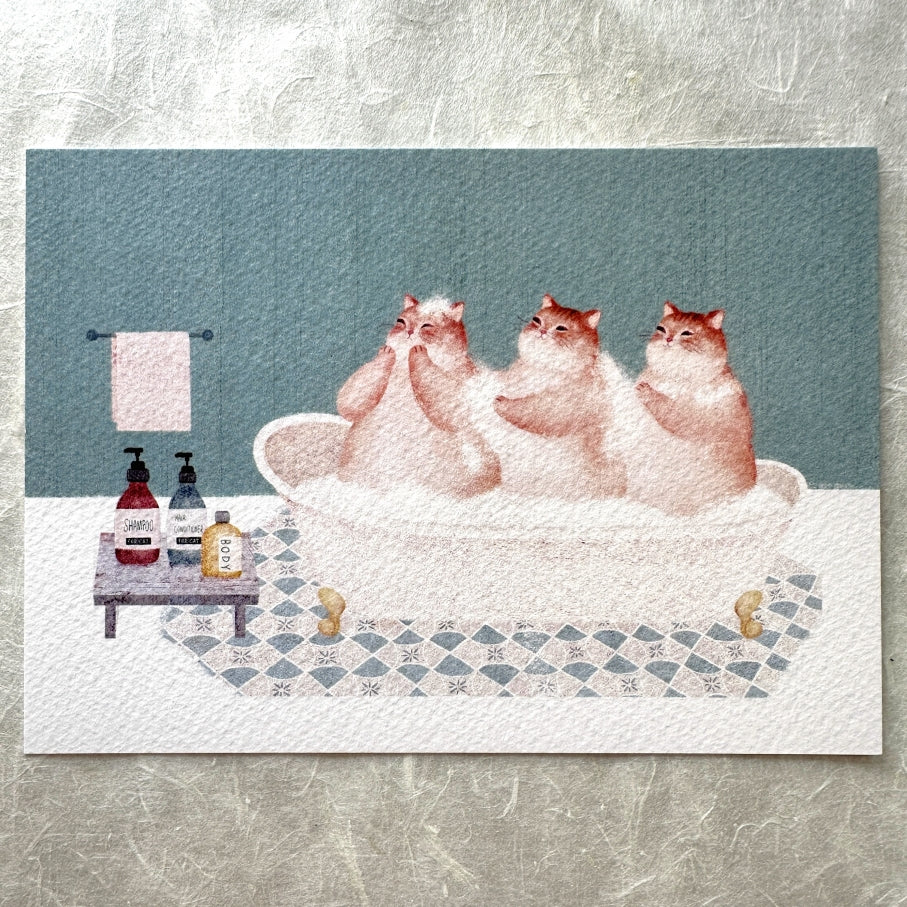 Amily Shen - cat illustration postcards