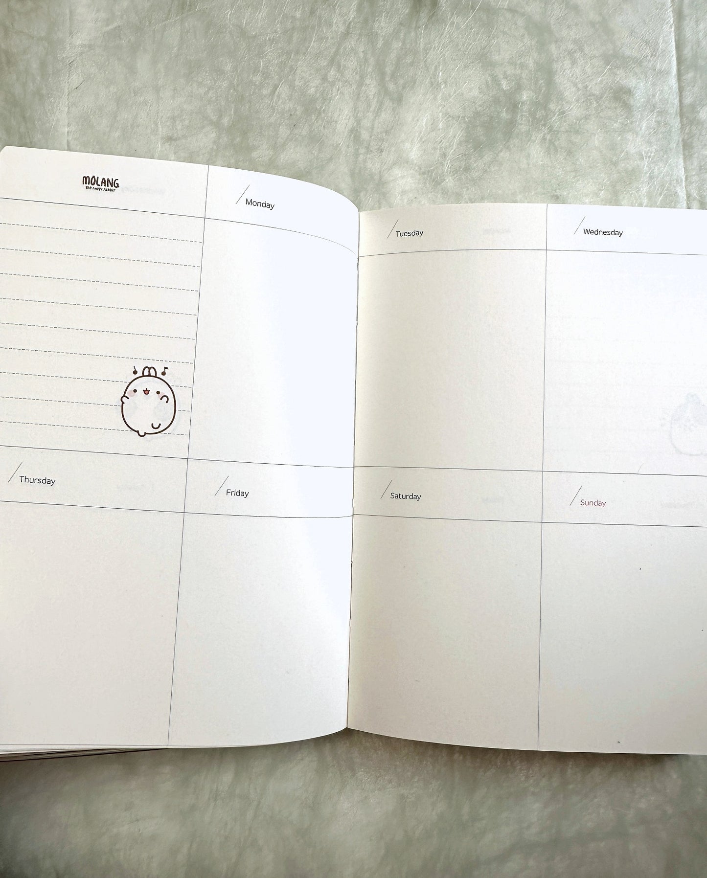 Molang - Undated Planner [Open/Unused]
