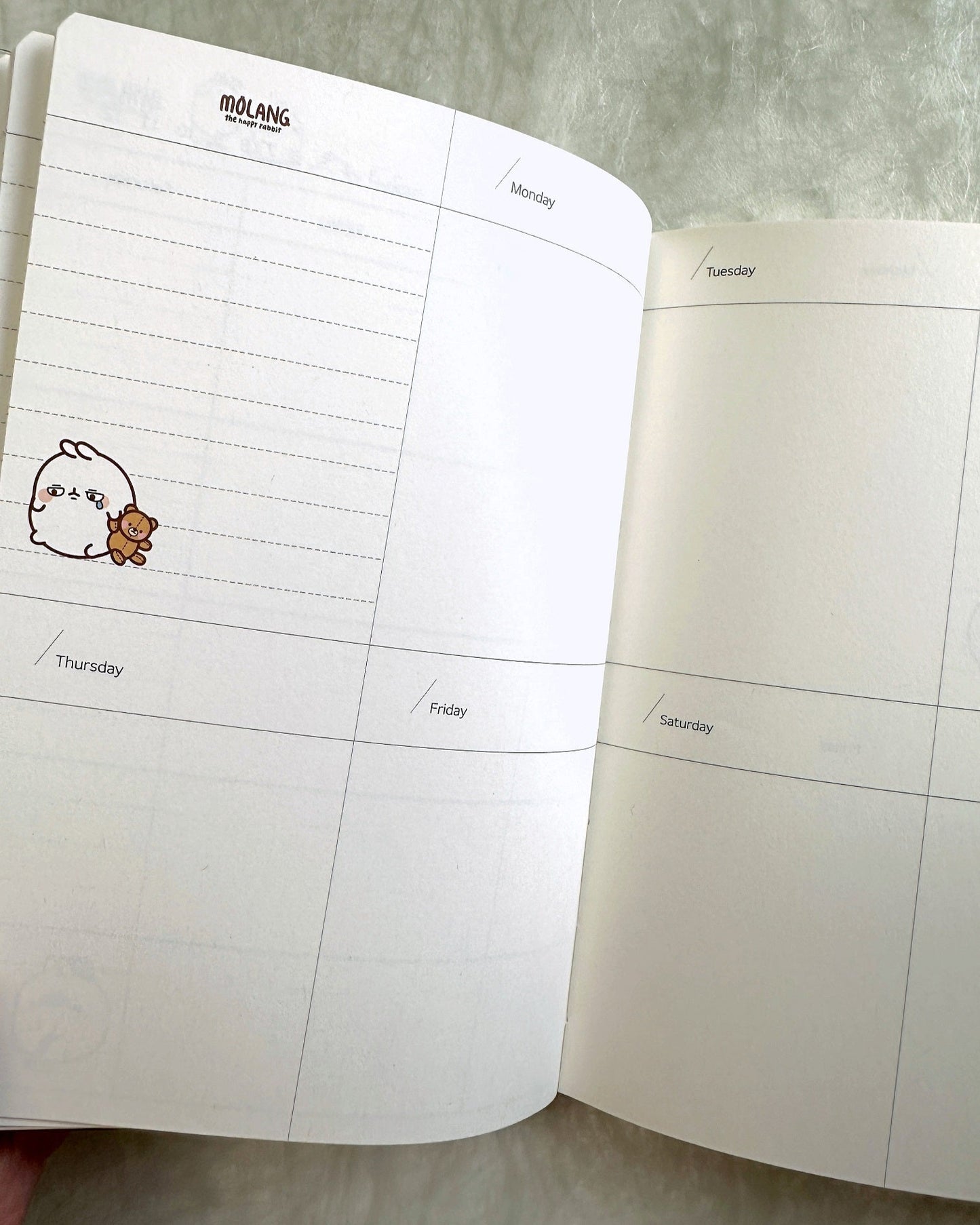Molang - Undated Planner [Open/Unused]
