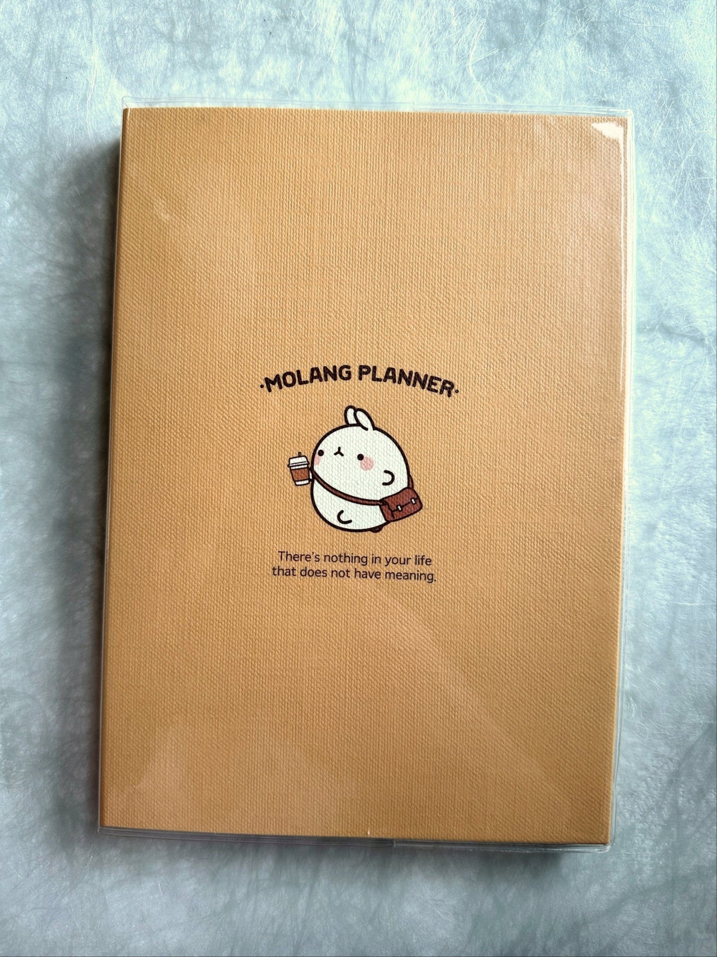 Molang - Undated Planner [Open/Unused]