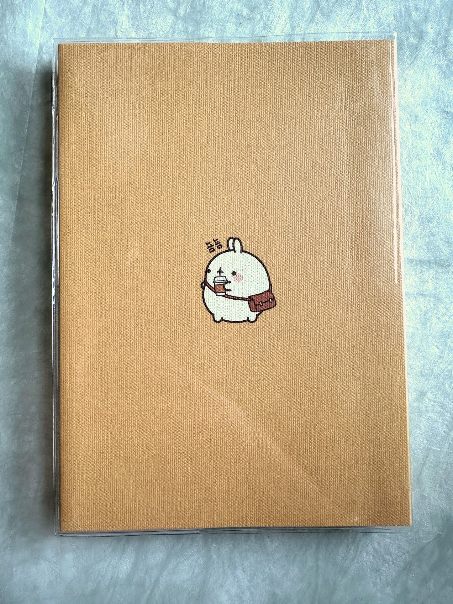 Molang - Undated Planner [Open/Unused]