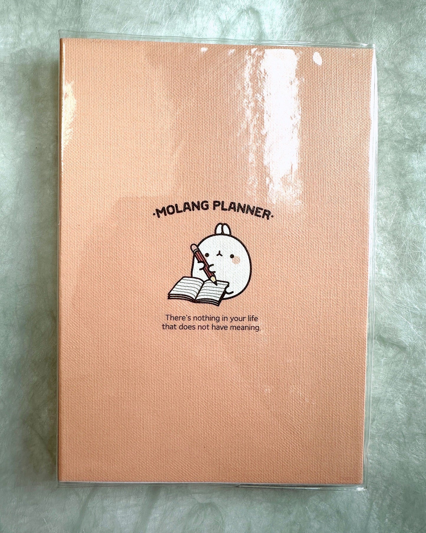Molang - Undated Planner [Open/Unused]