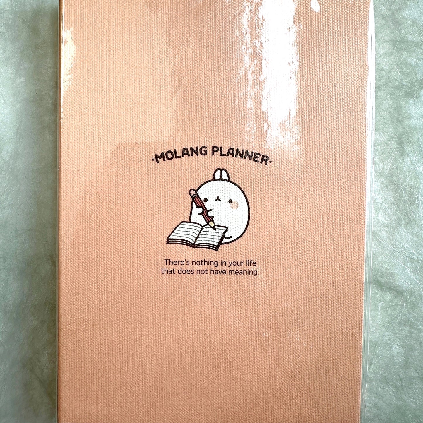 Molang - Undated Planner [Open/Unused]