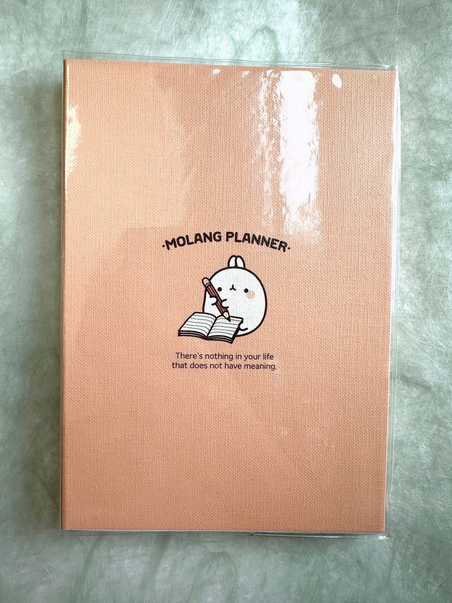Molang - Undated Planner [Open/Unused]