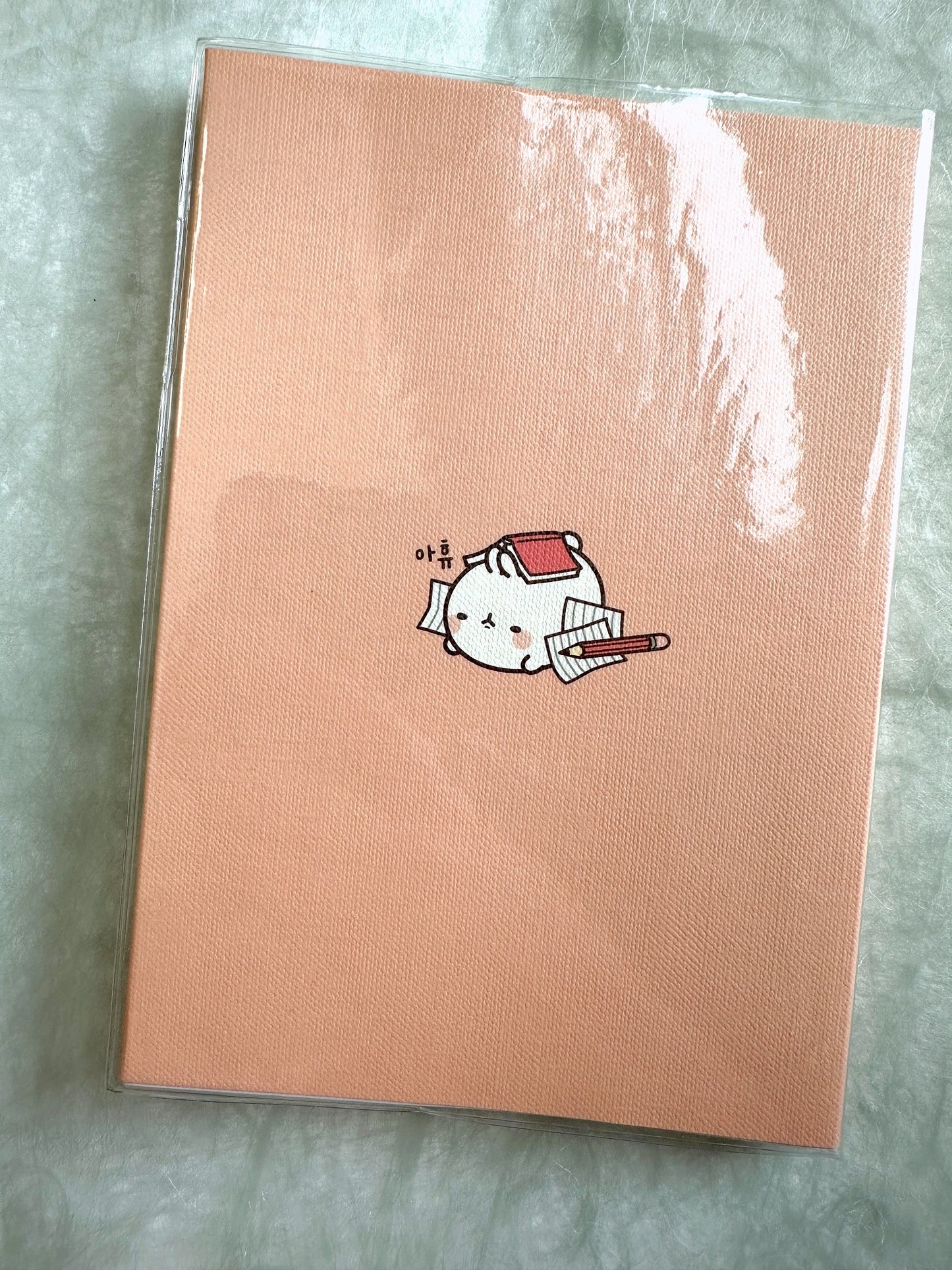 Molang - Undated Planner [Open/Unused]