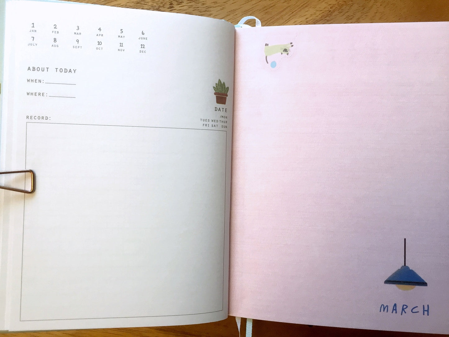 Home Is Where the Cat Is - Undated diary, with pop-up cat index tabs | Destash item [Like New]