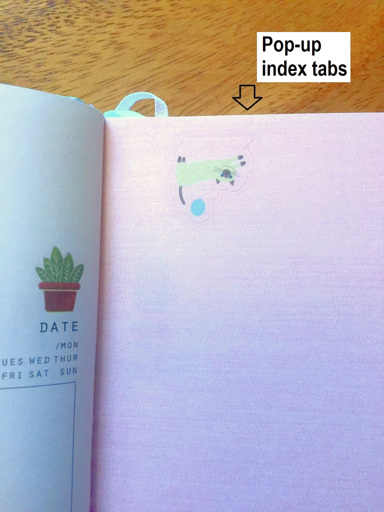 Home Is Where the Cat Is - Undated diary, with pop-up cat index tabs | Destash item [Like New]