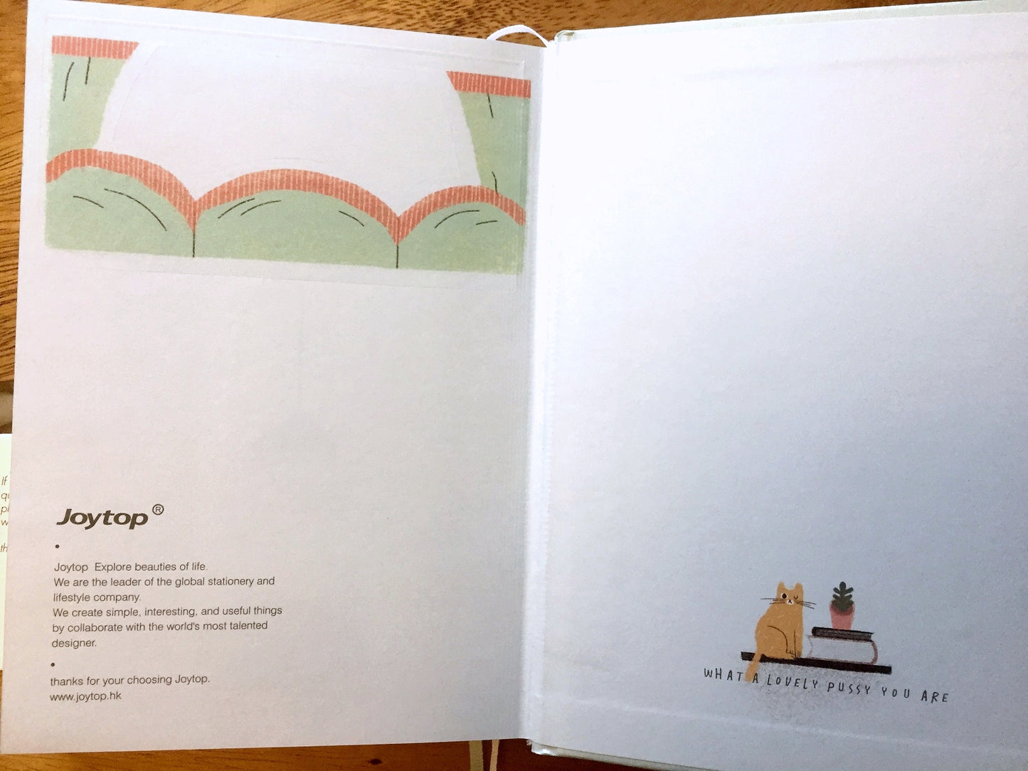 Home Is Where the Cat Is - Undated diary, with pop-up cat index tabs | Destash item [Like New]