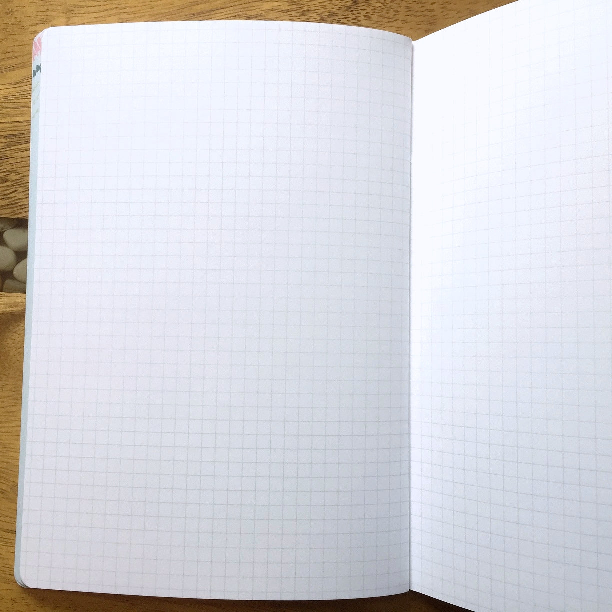 Paper Penguin Co. - Weekly Calendar (3 Month) A5 Inserts [New]