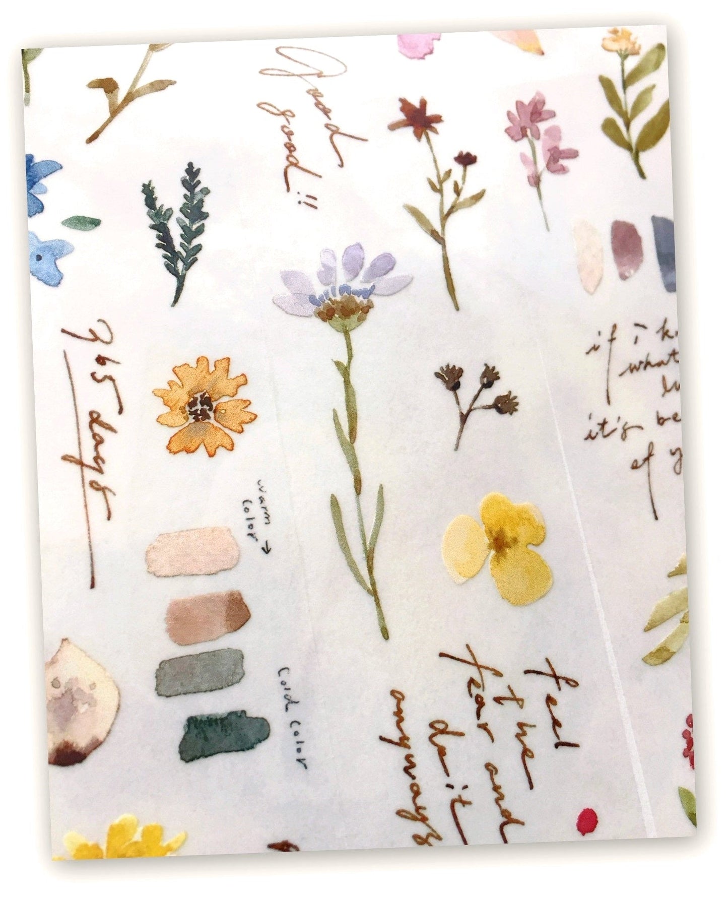 Pion - Garden PET tape SAMPLES