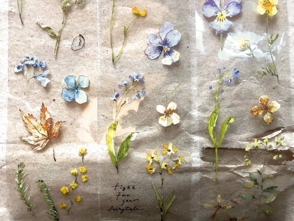 Pion - Pressed Flower Notes PET tape SAMPLES