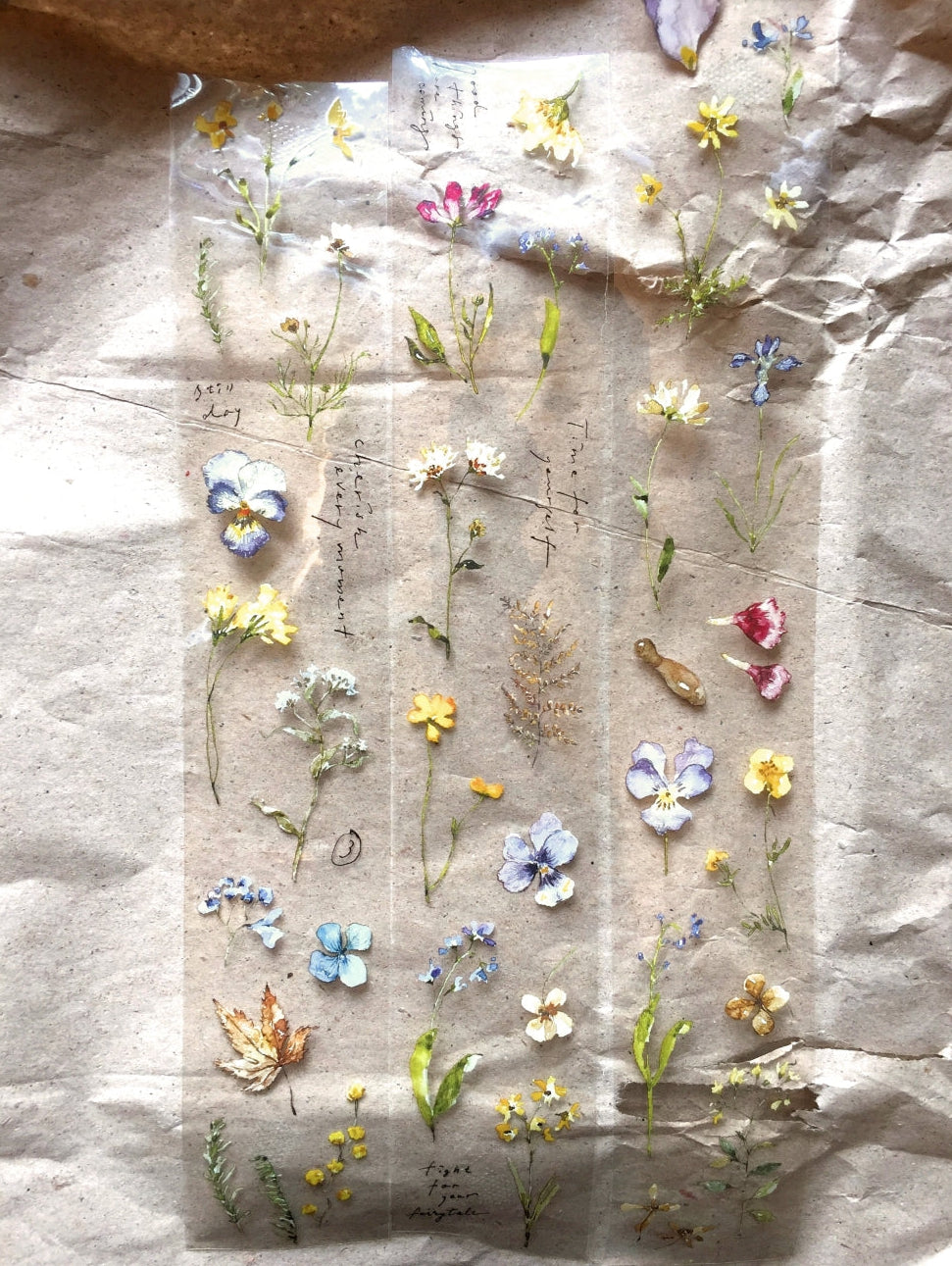Pion - Pressed Flower Notes PET tape SAMPLES