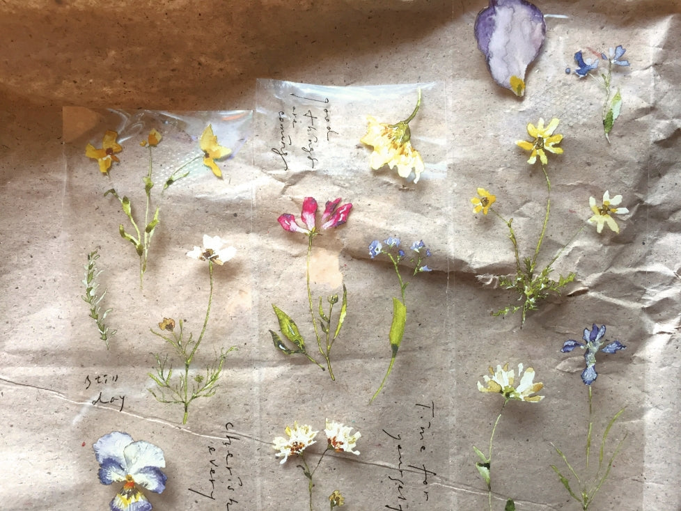 Pion - Pressed Flower Notes PET tape SAMPLES