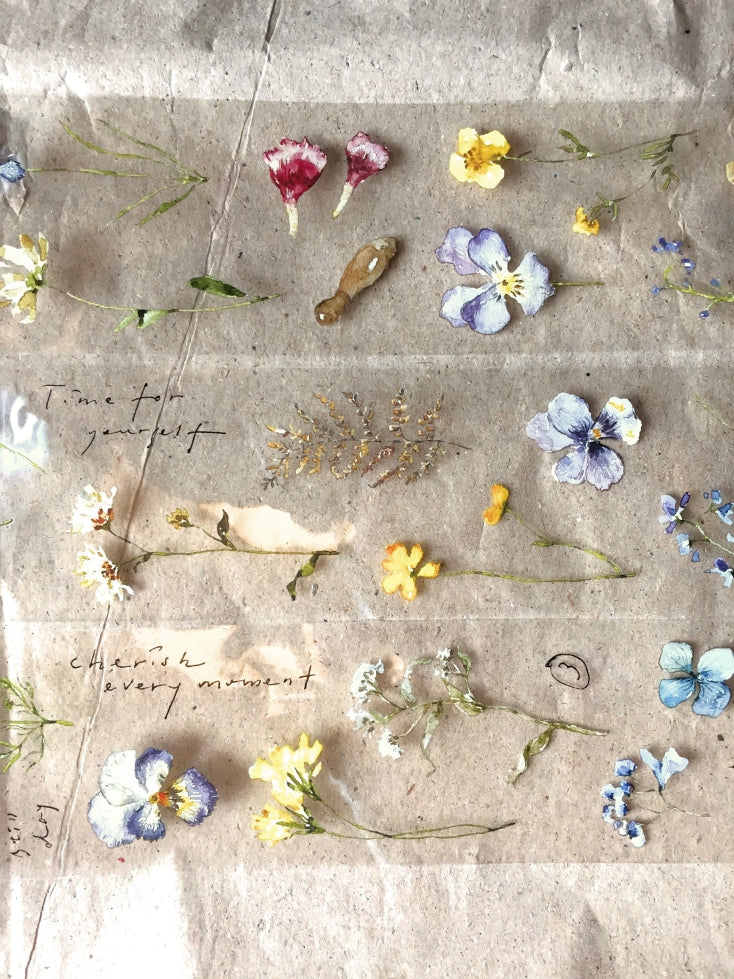 Pion - Pressed Flower Notes PET tape SAMPLES