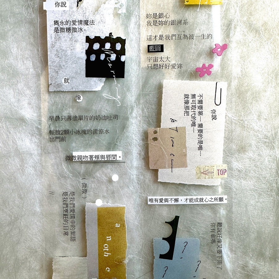 Pion - Prose PET tape SAMPLES