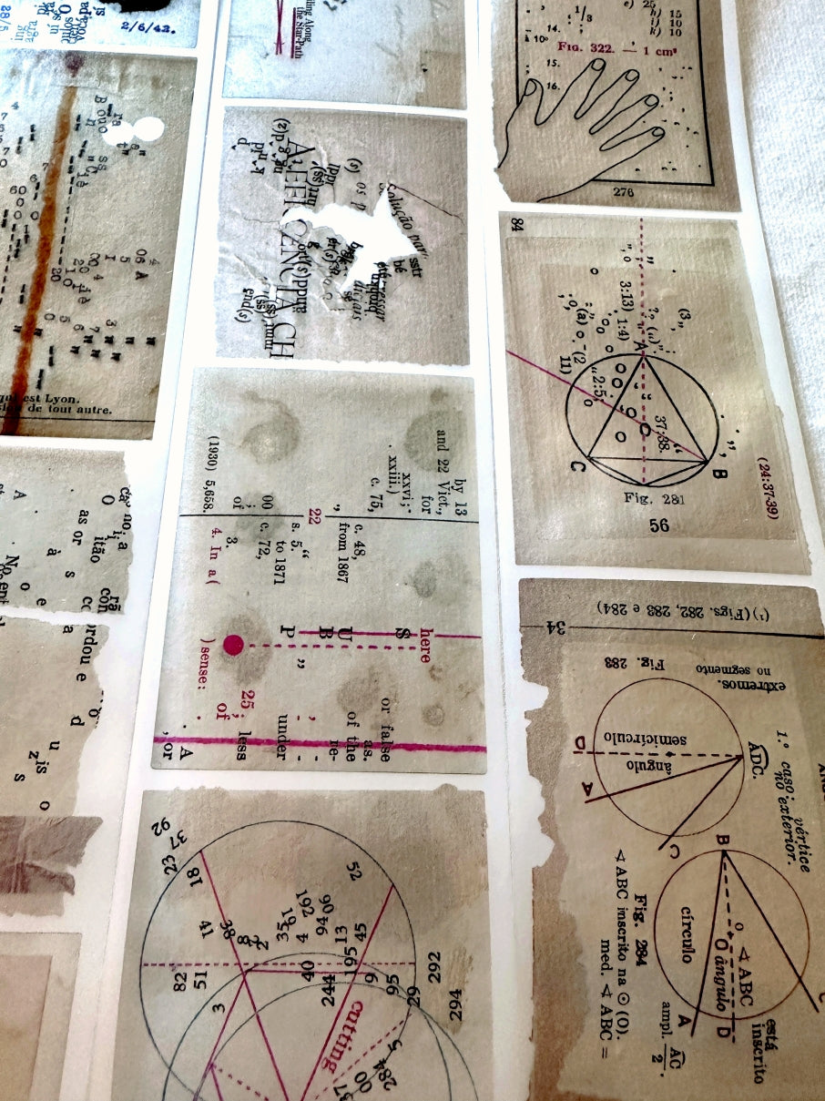Plusminus - wor*ds PET tape (5 cm x 200 cm) SAMPLES