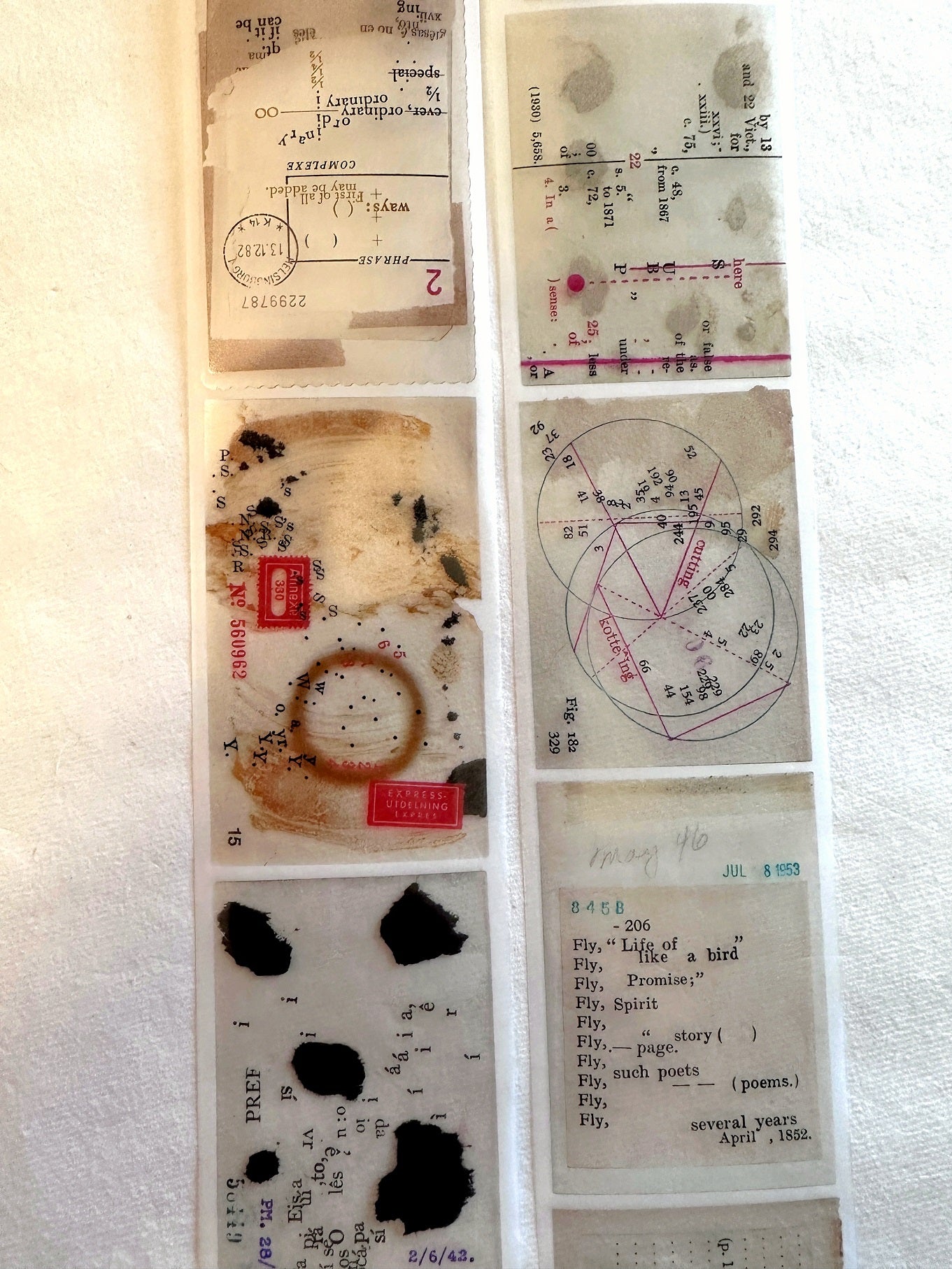 Plusminus - wor*ds PET tape (5 cm x 200 cm) SAMPLES
