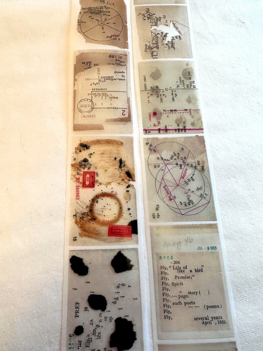 Plusminus - wor*ds PET tape (5 cm x 200 cm) SAMPLES