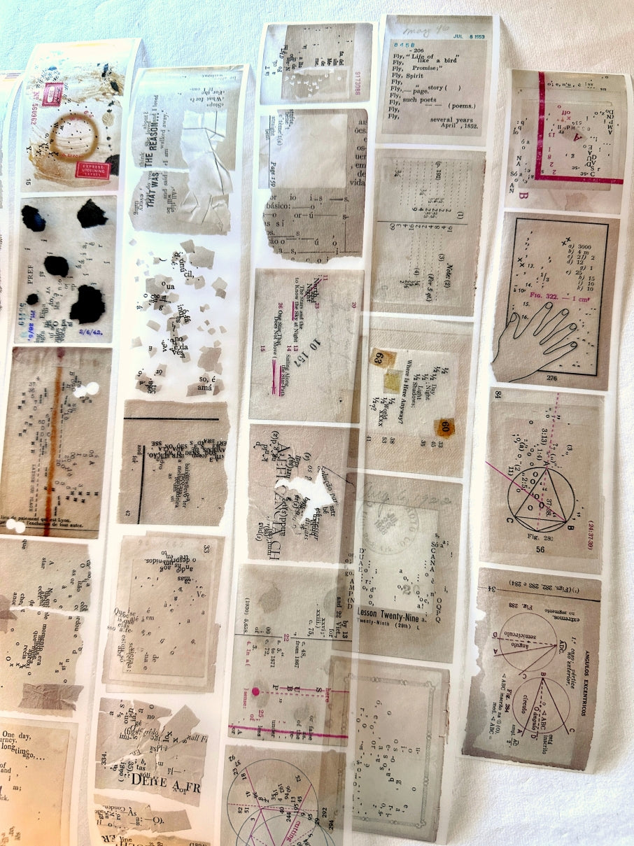 Plusminus - wor*ds PET tape (5 cm x 200 cm) SAMPLES