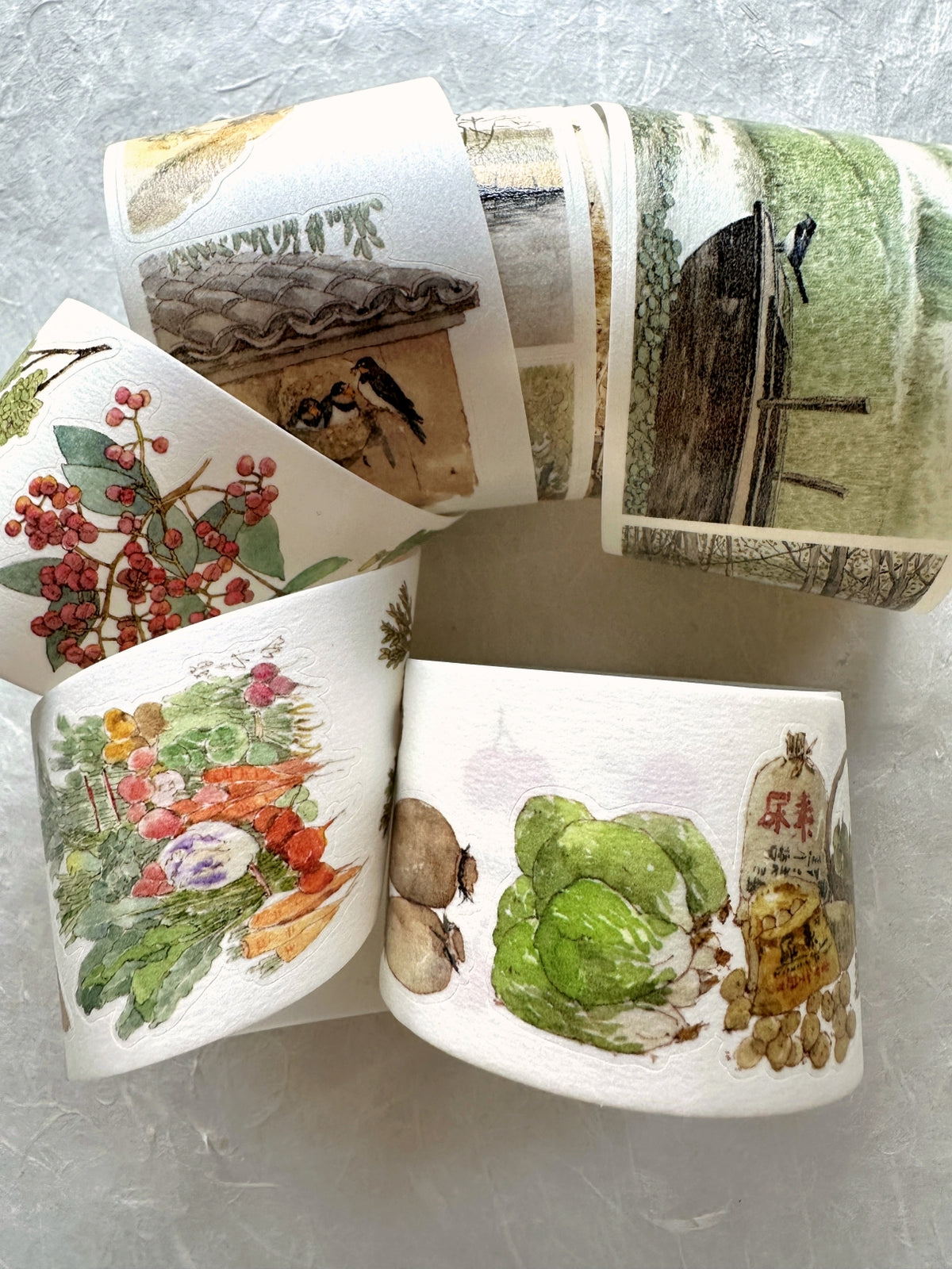 Poet's Cabin Art Studio - A Winter and Spring kiss-cut PET & washi tape (4 cm x 150 cm) SAMPLES