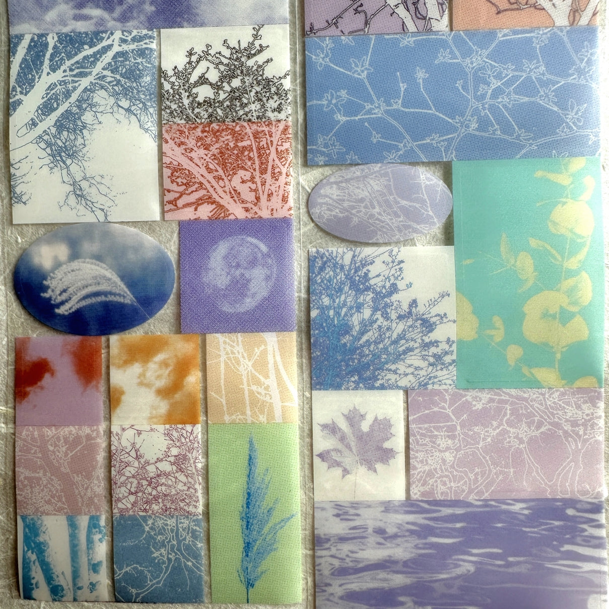 Papermore - Like a Dream: Looking for Trees kiss-cut PET tape SAMPLES