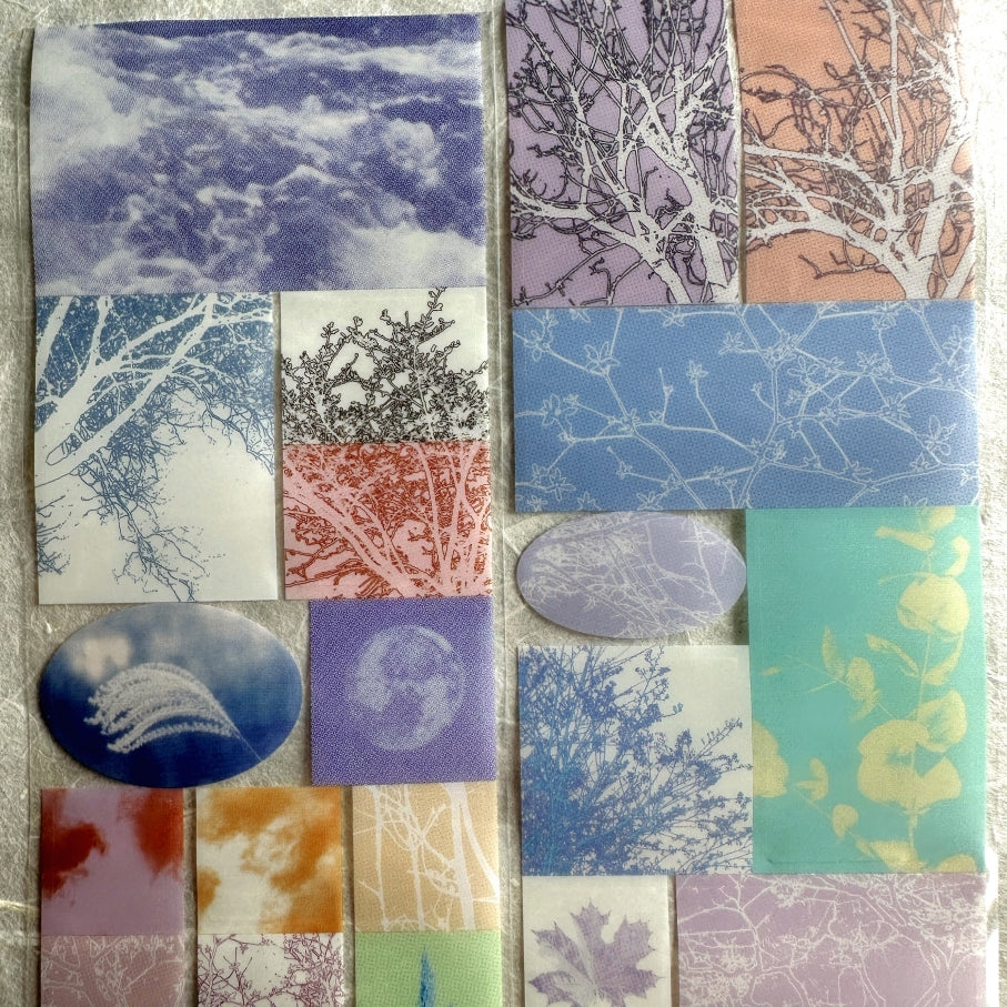 Papermore - Like a Dream: Looking for Trees kiss-cut PET tape SAMPLES