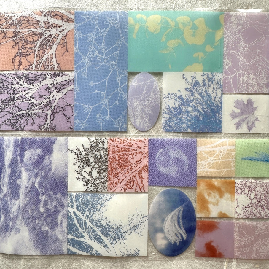 Papermore - Like a Dream: Looking for Trees kiss-cut PET tape SAMPLES
