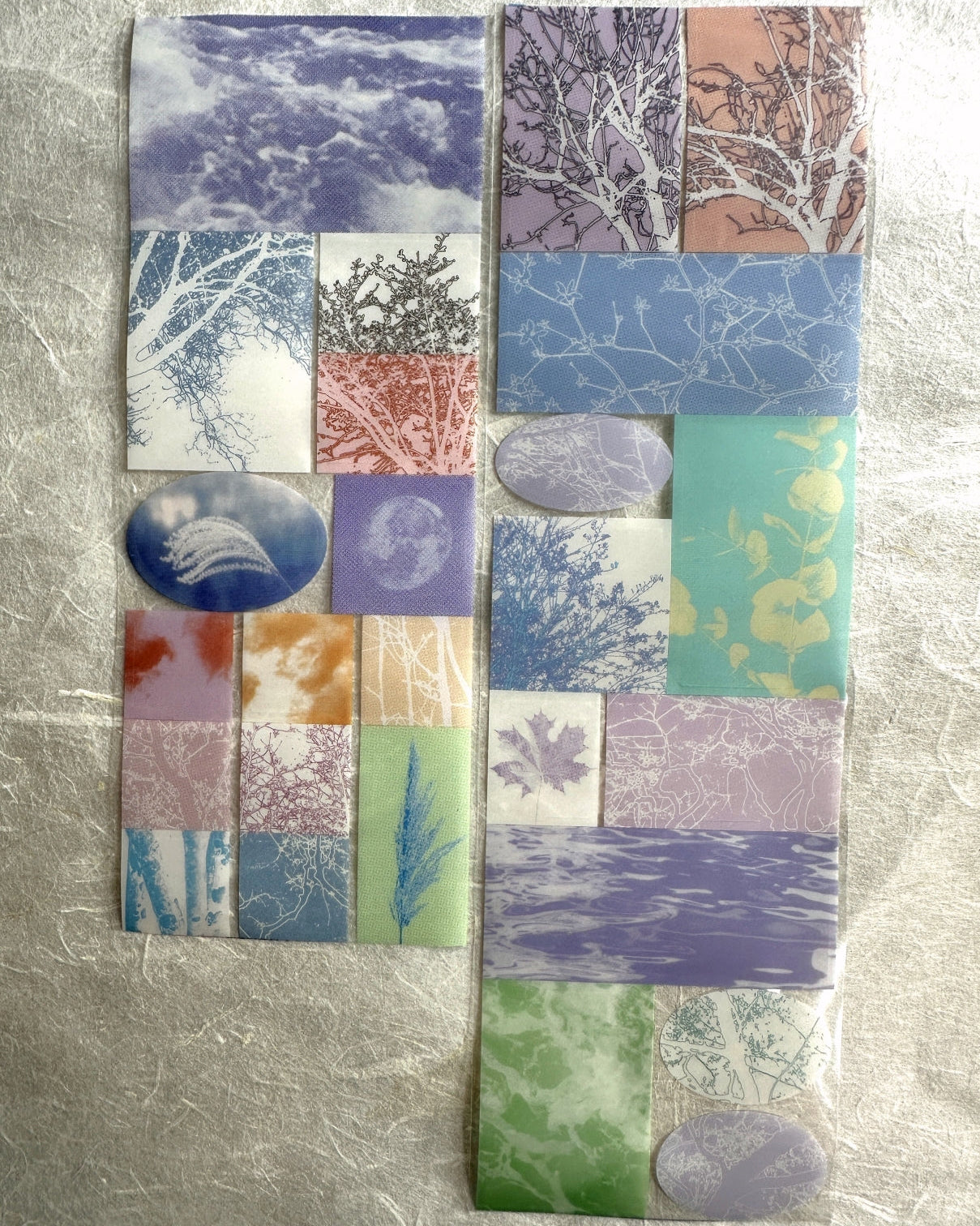 Papermore - Like a Dream: Looking for Trees kiss-cut PET tape SAMPLES