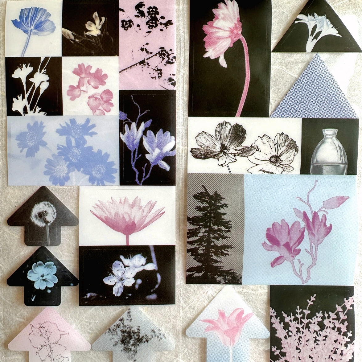 Papermore - Like a Dream: Flower Room kiss-cut PET tape SAMPLES