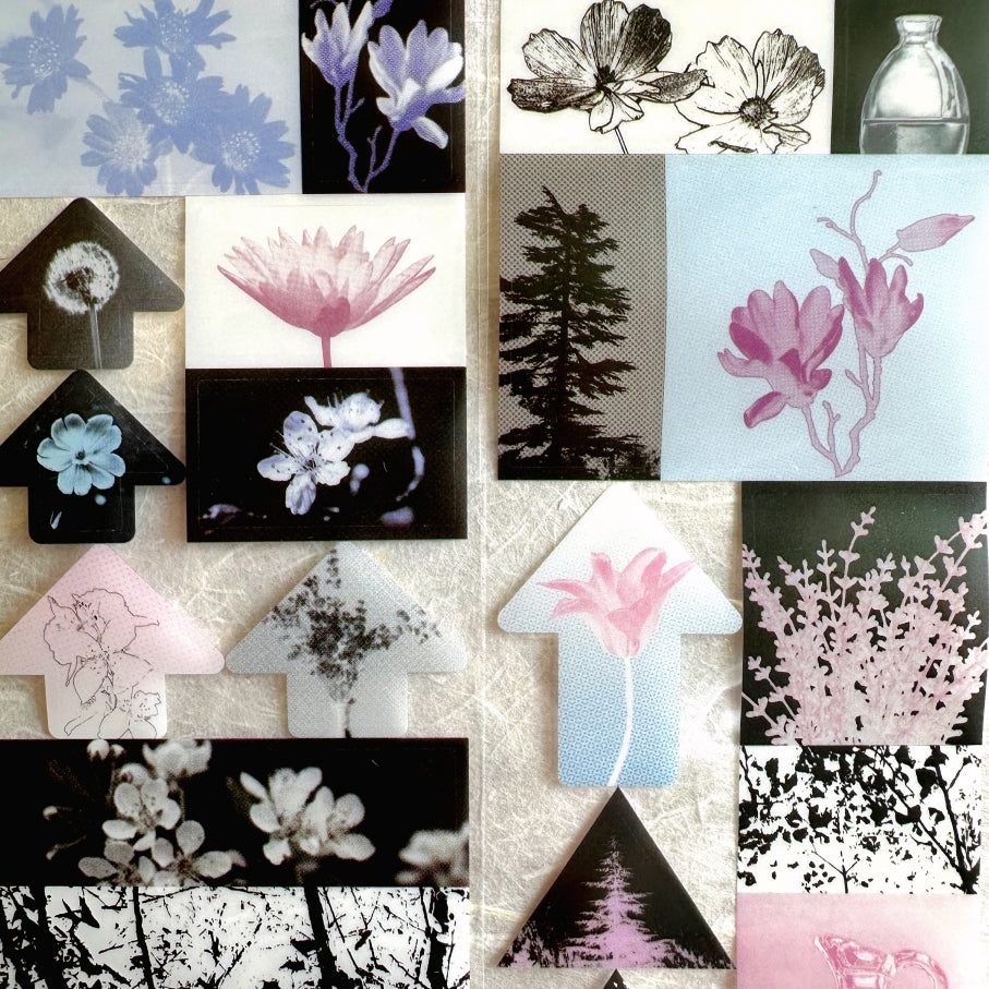 Papermore - Like a Dream: Flower Room kiss-cut PET tape SAMPLES