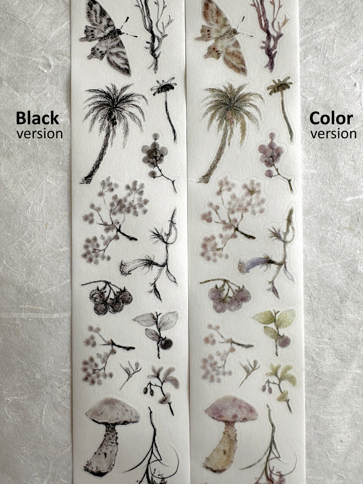 Princess Studio - Black/Colorful botanical art kiss-cut washi tapes (4.5 cm x 160 cm) SAMPLES
