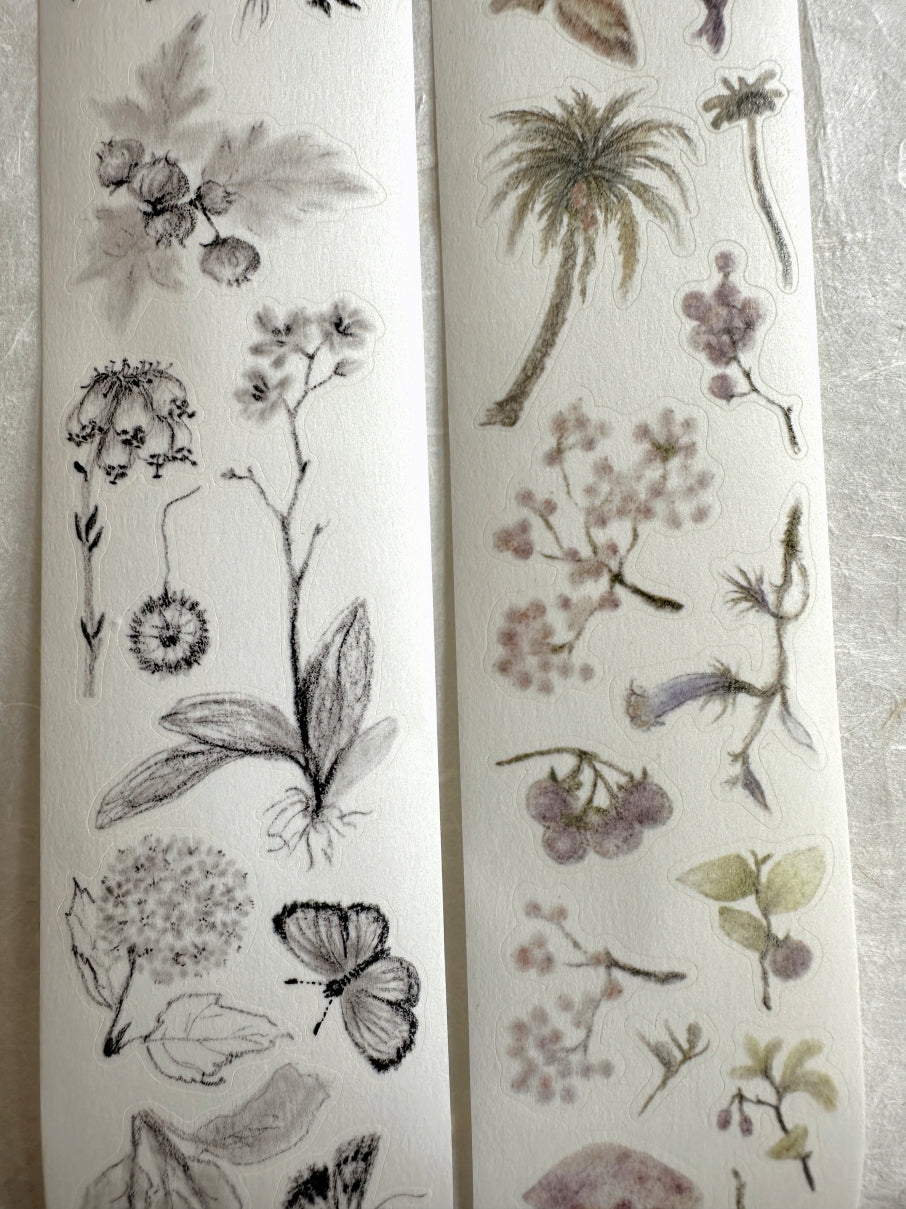 Princess Studio - Black/Colorful botanical art kiss-cut washi tapes (4.5 cm x 160 cm) SAMPLES