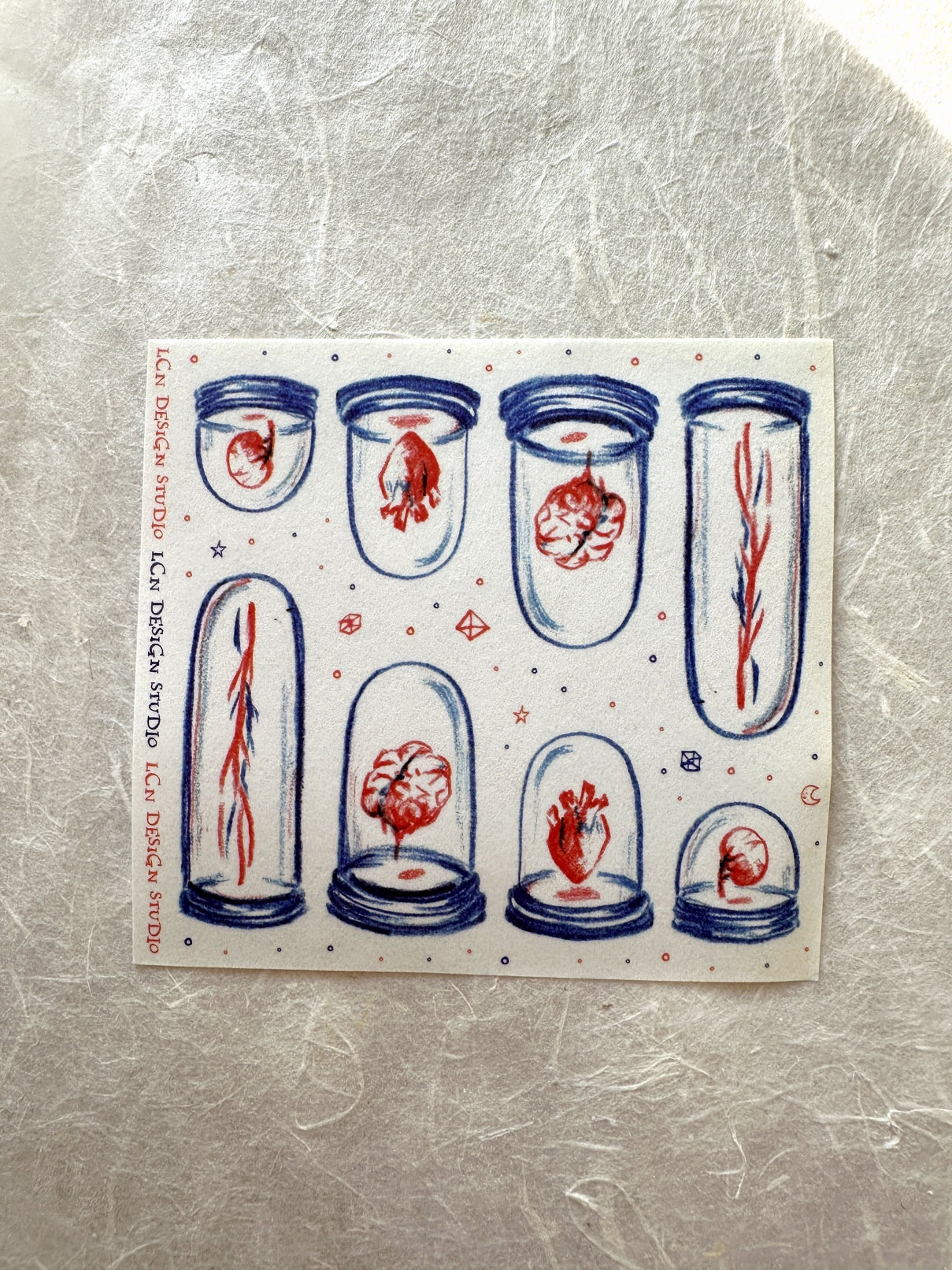 Destash | Lin Chia Ning - Specimin Jar mini washi sticker sheet [Rare]