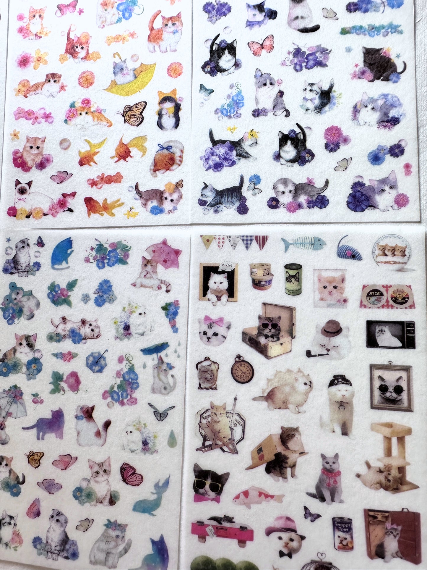 Moin moin - Cat Zanmai washi stickers