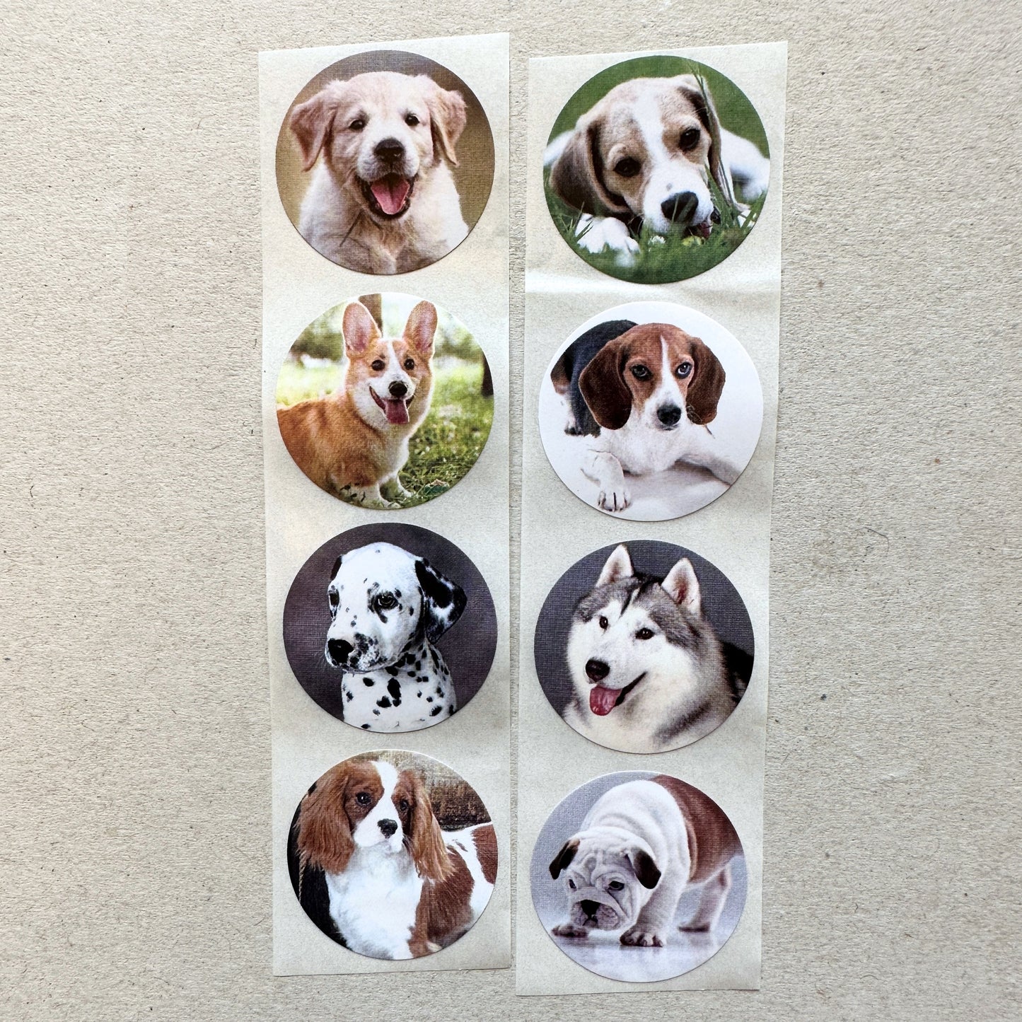 Cute Dogs & Cats - Round Sticker Seal SAMPLES