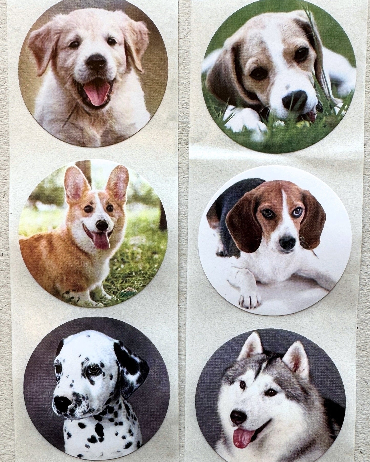 Cute Dogs & Cats - Round Sticker Seal SAMPLES