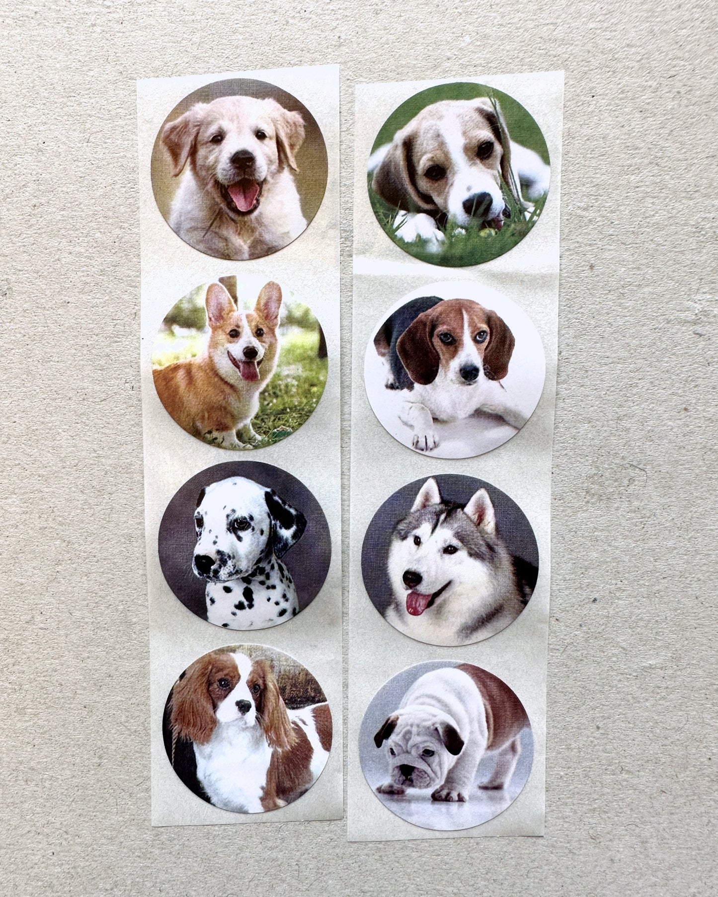 Cute Dogs & Cats - Round Sticker Seal SAMPLES