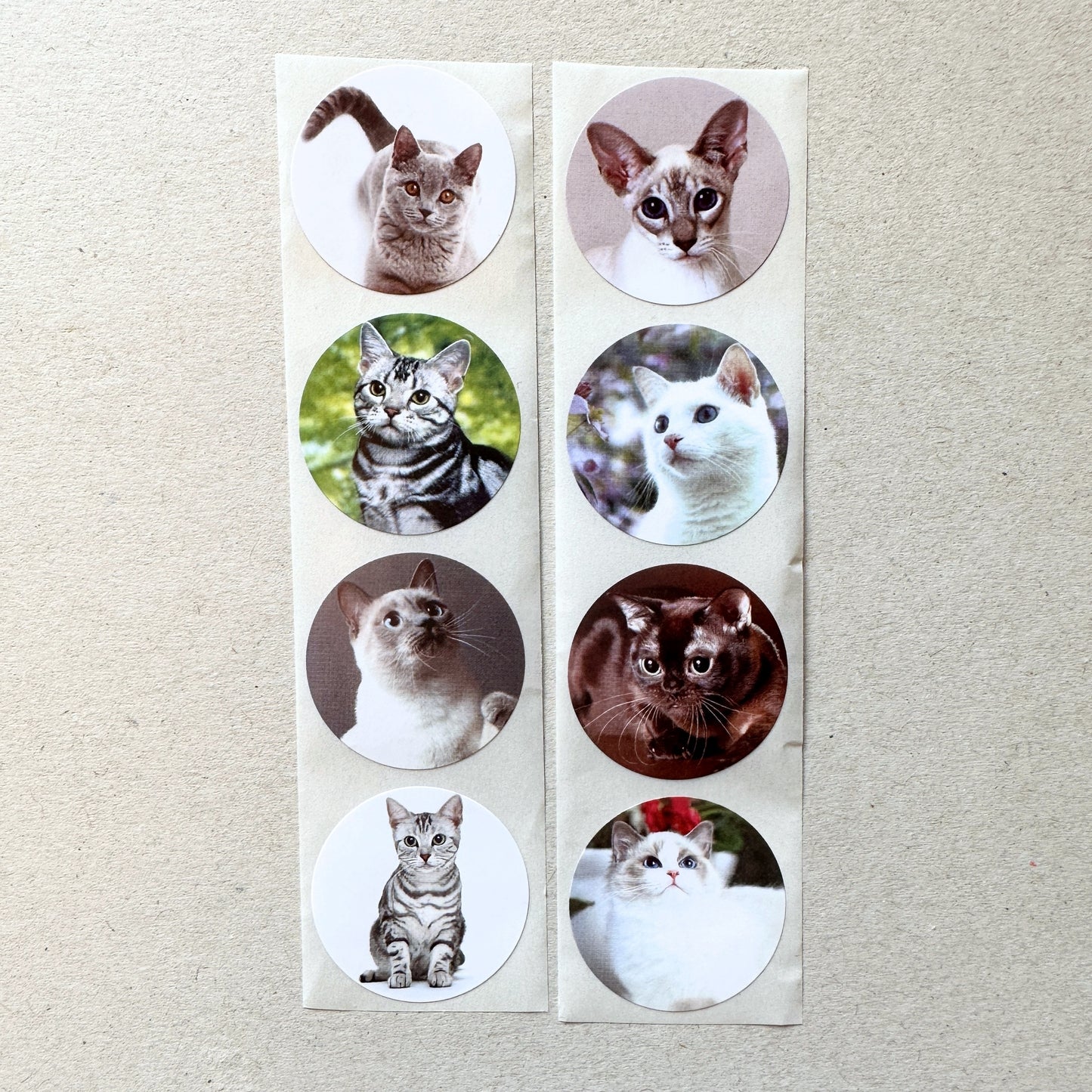 Cute Dogs & Cats - Round Sticker Seal SAMPLES