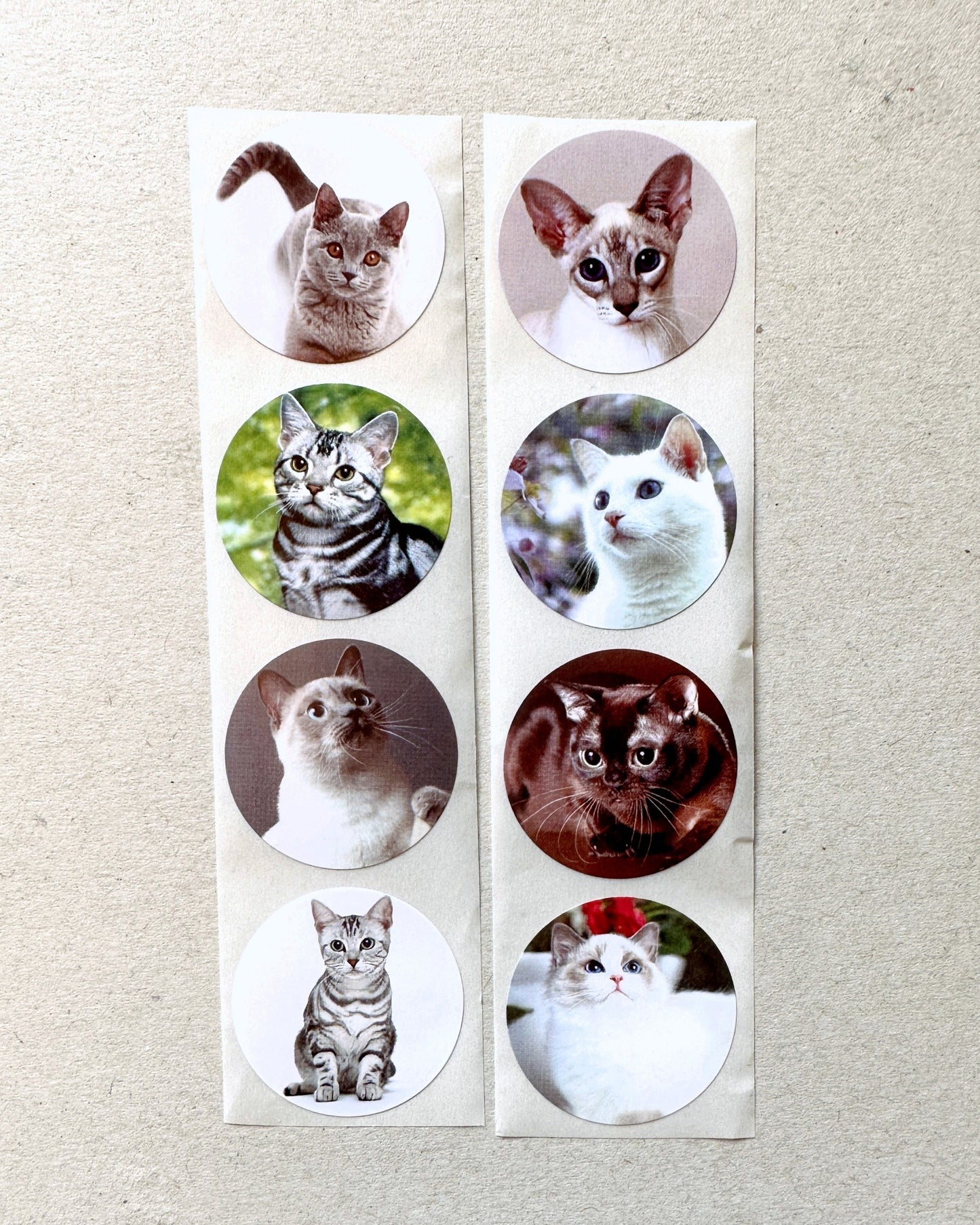 Cute Dogs & Cats - Round Sticker Seal SAMPLES