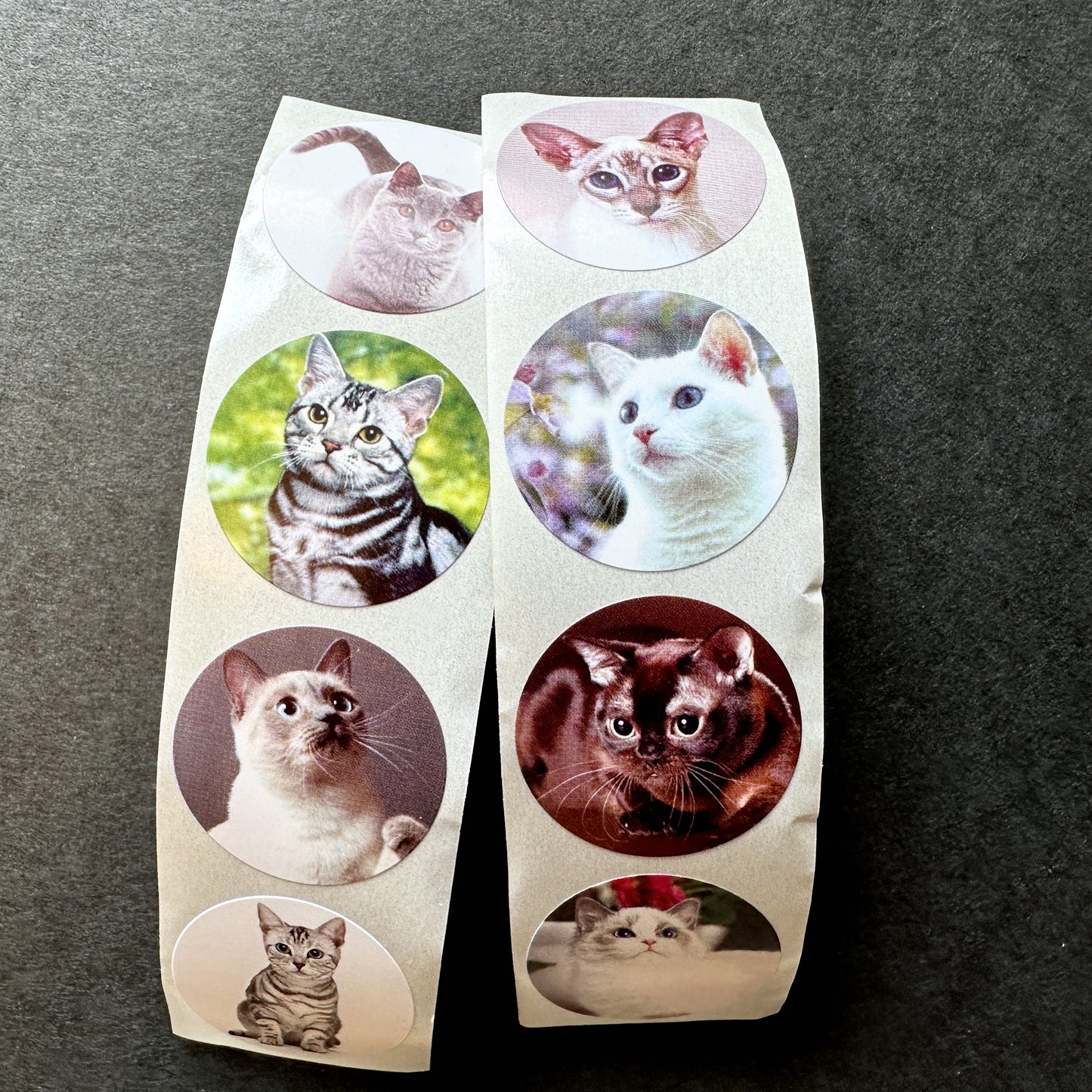 Cute Dogs & Cats - Round Sticker Seal SAMPLES