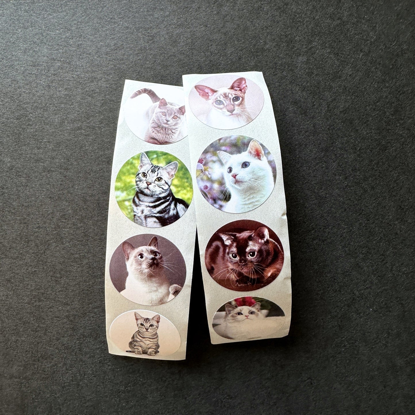Cute Dogs & Cats - Round Sticker Seal SAMPLES