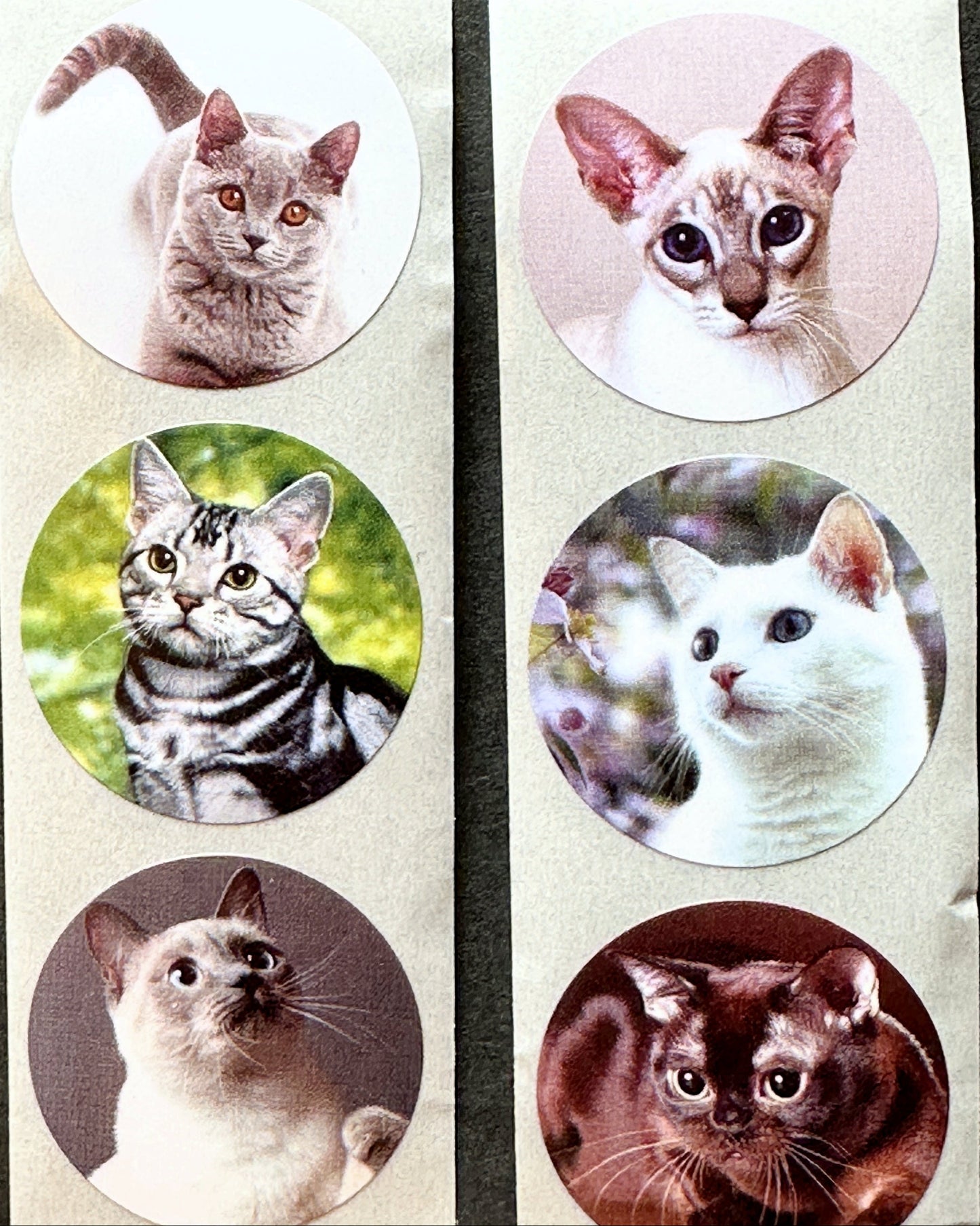 Cute Dogs & Cats - Round Sticker Seal SAMPLES