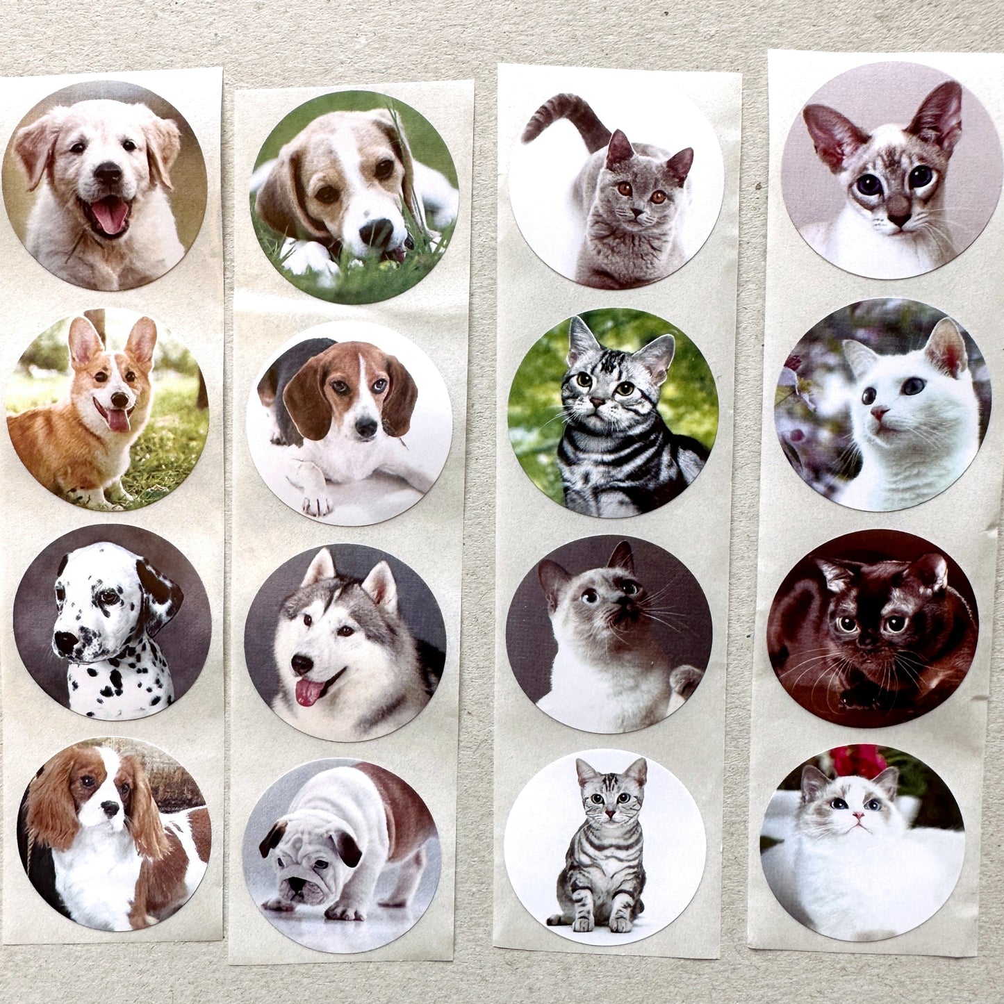 Cute Dogs & Cats - Round Sticker Seal SAMPLES